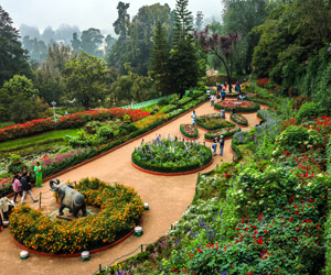 Ooty-botanical-garden