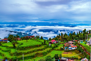 Landscape, Darjeeling