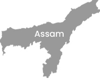 Assam Travel Map